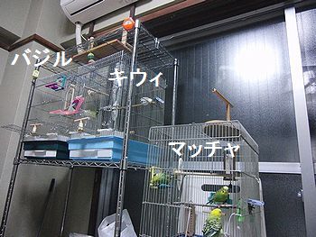 f0196665_084015.jpg