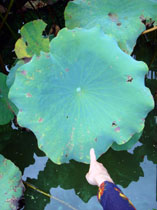 f0099367_13215233.jpg