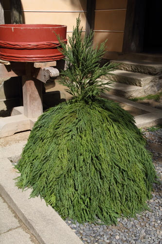 b0138370_1123998.jpg