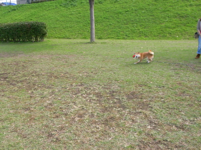 f0214771_10411114.jpg