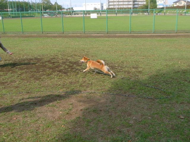 f0214771_10411998.jpg