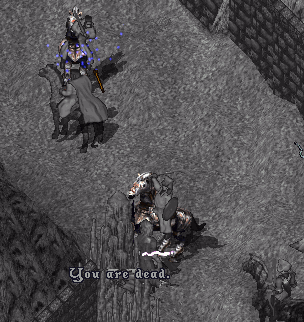 b0190672_14212250.gif