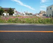f0237680_1542532.jpg