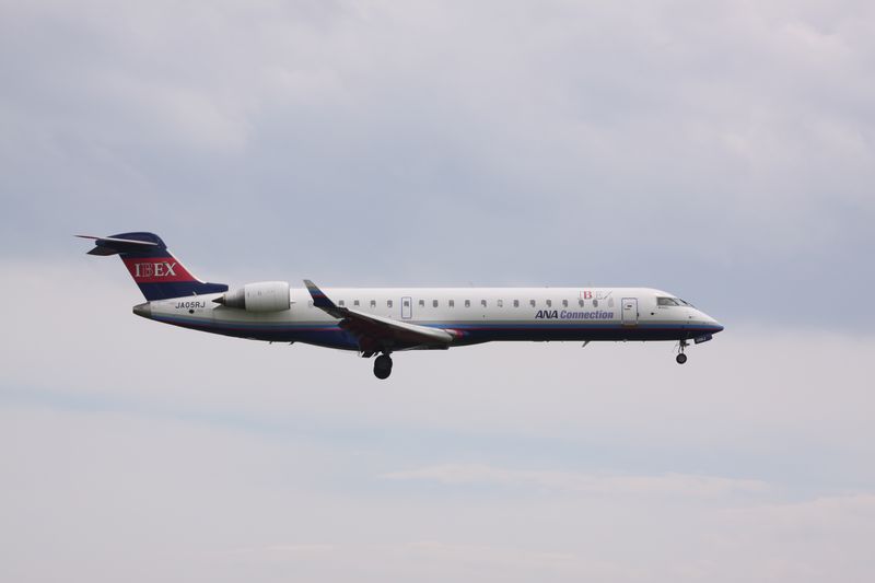 c0148781_101267.jpg