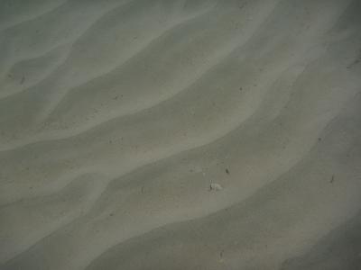f0016981_4492337.jpg