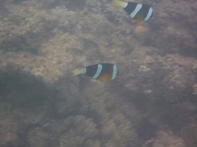 f0016981_44958100.jpg