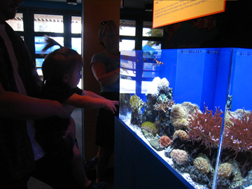 f0068883_1328738.jpg