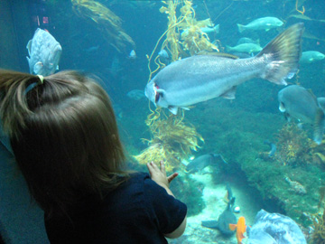 f0068883_13312313.jpg