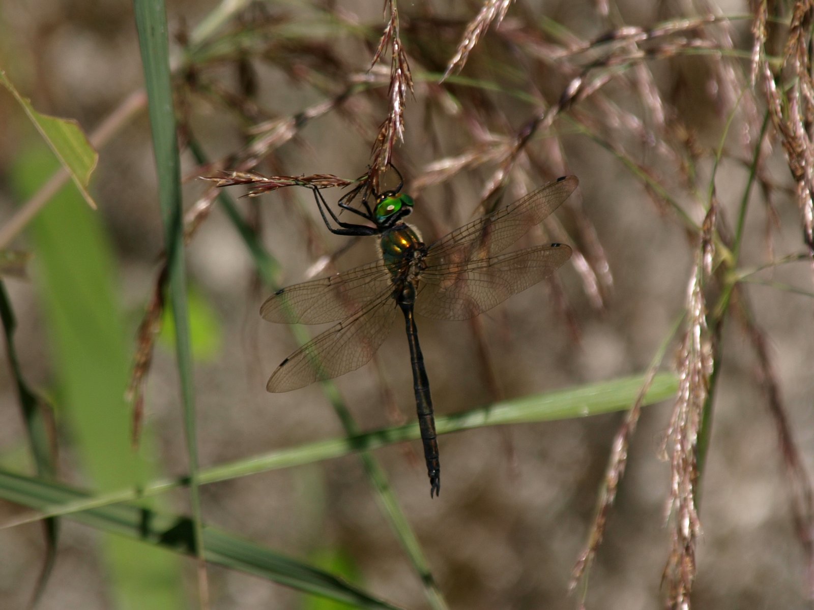 b0108186_2172373.jpg
