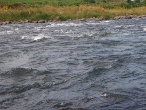 c0146788_18363755.jpg