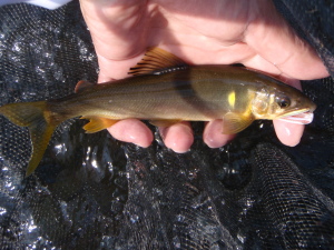 c0146788_18472095.jpg