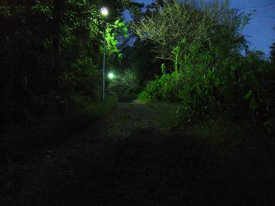 e0048994_943015.jpg