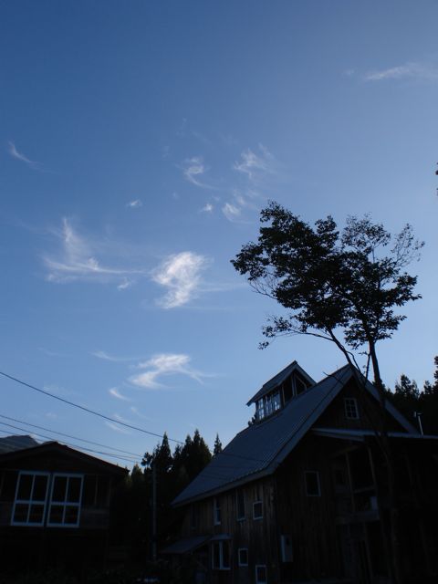 a0061599_7215328.jpg