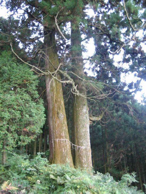 f0036700_15211732.jpg