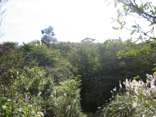 f0036700_1523665.jpg
