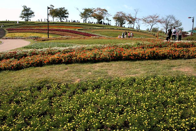 f0083400_23111781.jpg