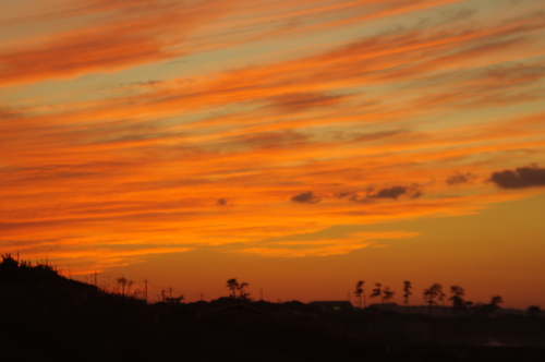c0228101_5135648.jpg