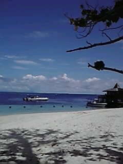 e0207701_7473135.jpg