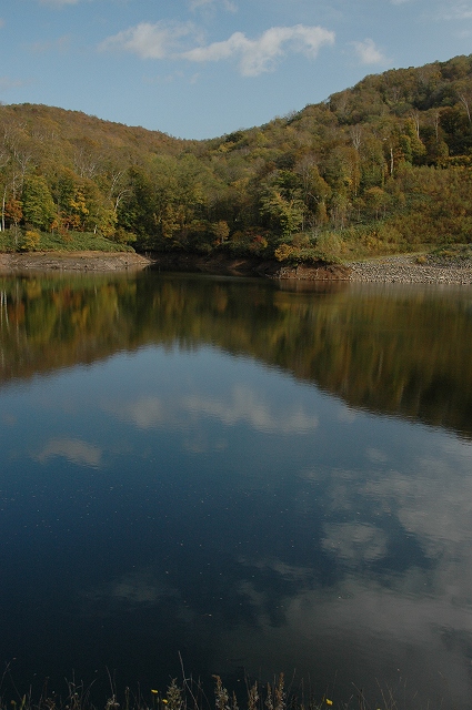 f0157901_20494383.jpg