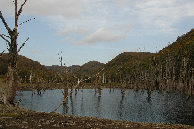 f0157901_20504748.jpg