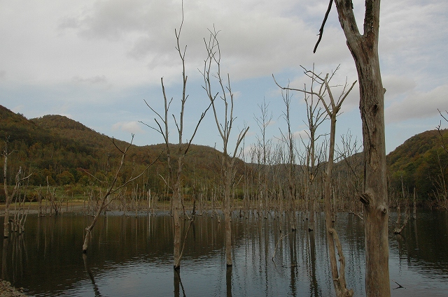 f0157901_20513451.jpg