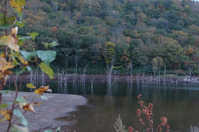 f0157901_20515758.jpg