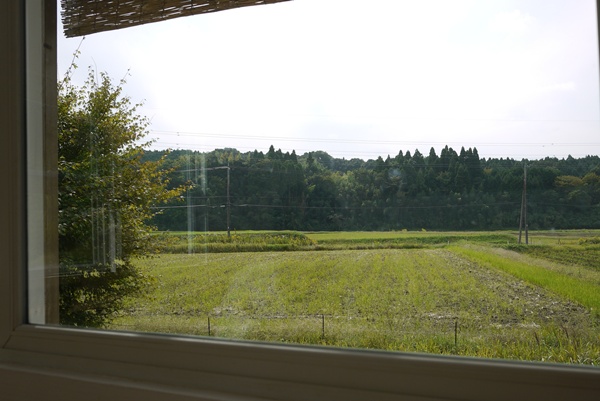 d0133704_1440165.jpg