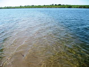 c0017505_1132080.jpg