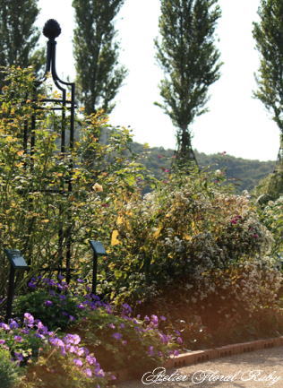 d0001008_18412965.jpg