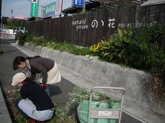 c0190010_20412654.jpg