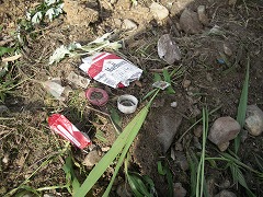 c0190010_20443846.jpg