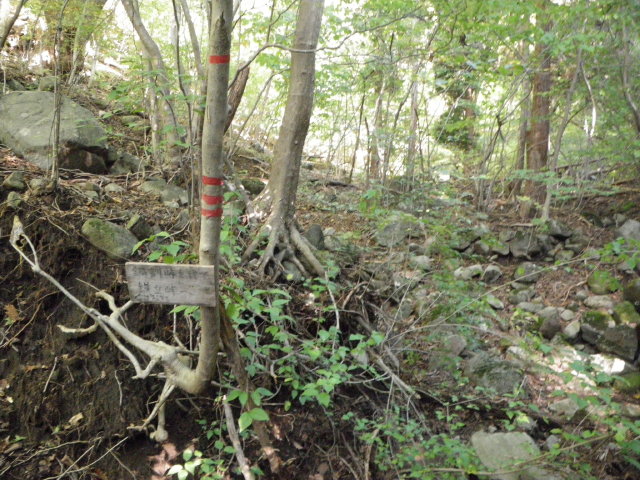d0006512_22212527.jpg