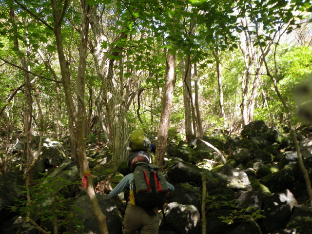 d0006512_2224453.jpg