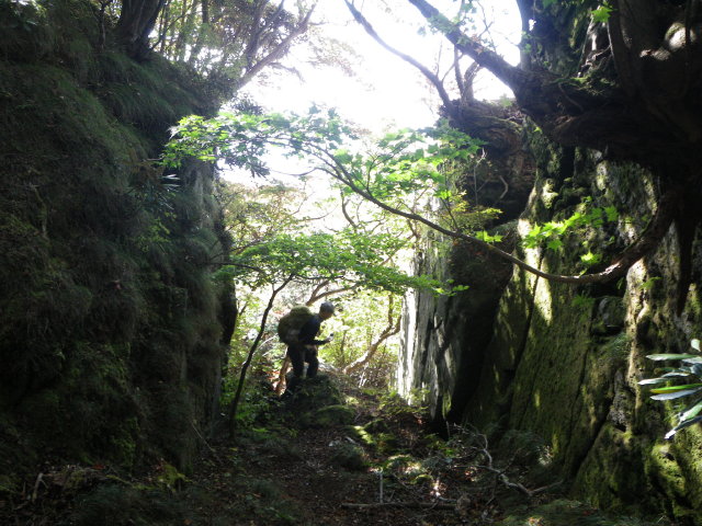 d0006512_22303089.jpg