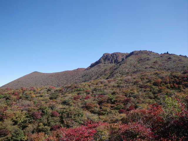 d0006512_22311015.jpg