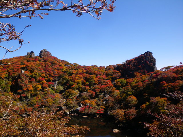 d0006512_22341196.jpg