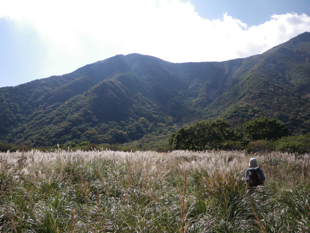 d0006512_22362517.jpg