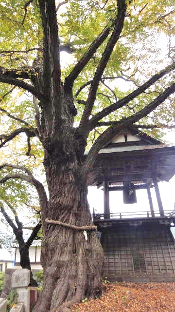 f0233414_221174.jpg