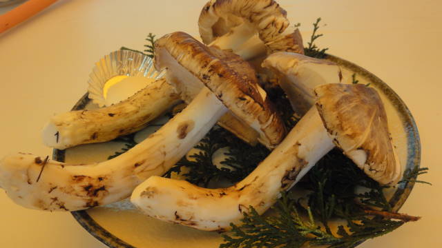 f0233414_22421952.jpg