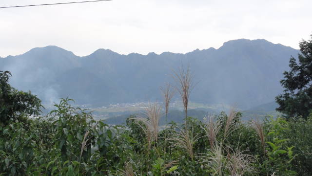 f0233414_2254165.jpg