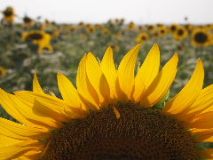 a0157619_22262638.jpg