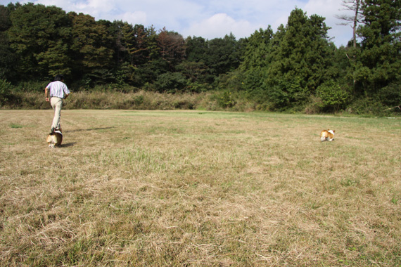 e0071225_231549.jpg