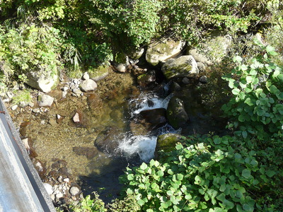 e0147226_23174649.jpg