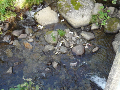 e0147226_23182578.jpg