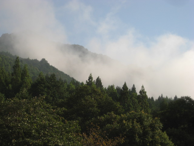 d0147727_1852523.jpg