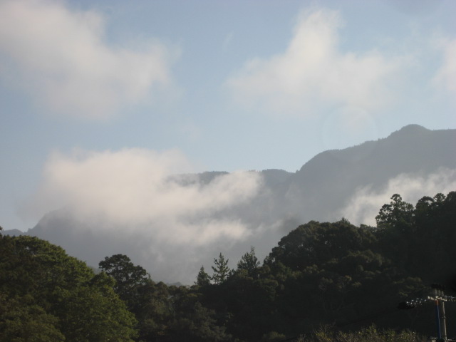 d0147727_18555727.jpg