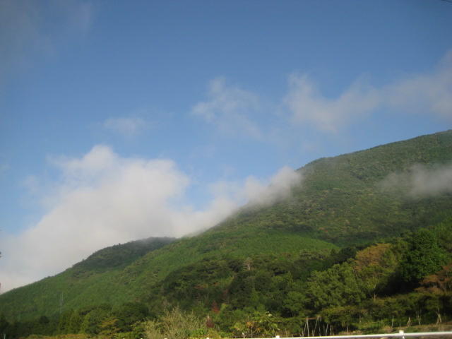 d0147727_18564646.jpg