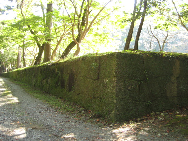 d0147727_1911518.jpg