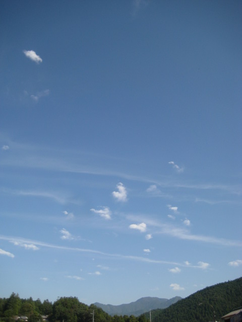 d0147727_19122785.jpg