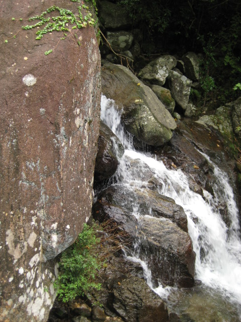 d0147727_1918557.jpg